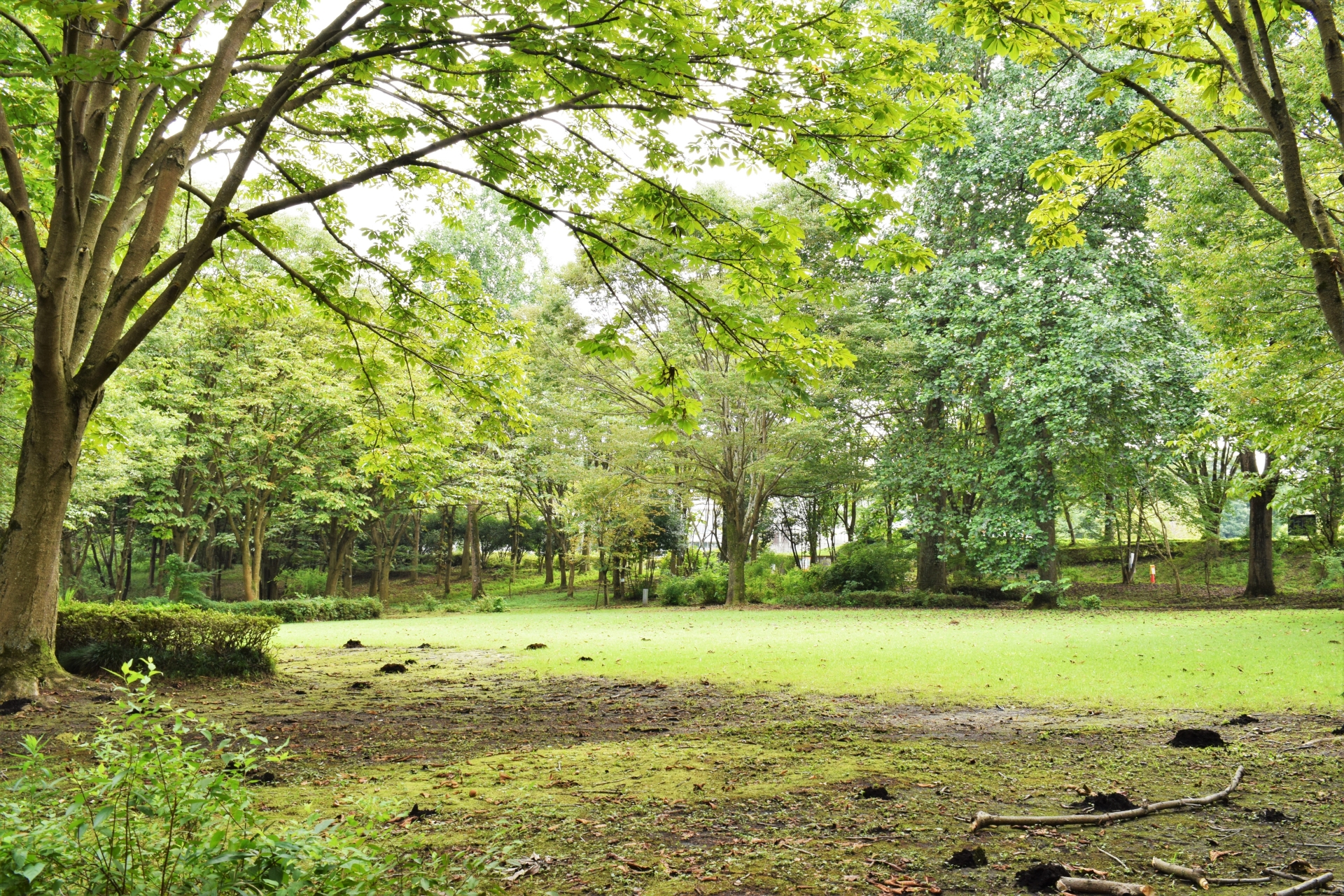 株式会社〇〇〇〇様