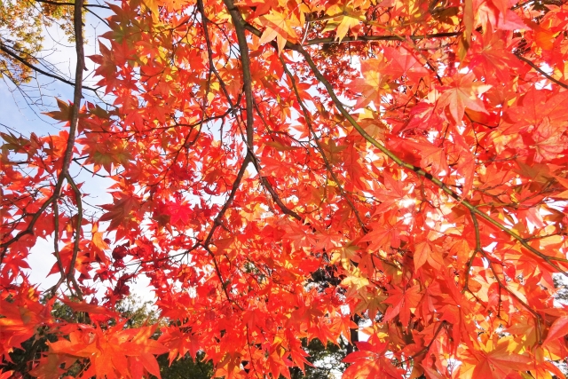 株式会社〇〇〇〇様